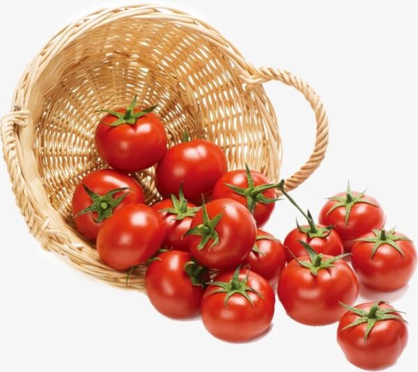 Tomatos- ಟೊಮೆಟೊ
