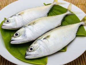 Indian Mackerel Medium- ಬಂಗುಡೆ