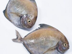 Black Pomfret - ಕಪ್ಪು ಮಾಂಜಿ