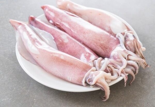 Squid ಫಿಶ್ small- ಸಣ್ಣ ಬೊಂಡಾಸ್