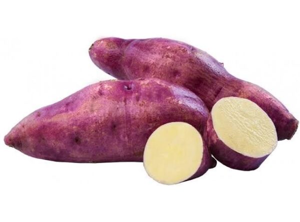 Sweet Potato