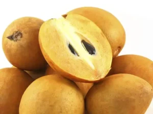 Chiccoo/ ಚಿಕ್ಕು /ಸಪೋಟ