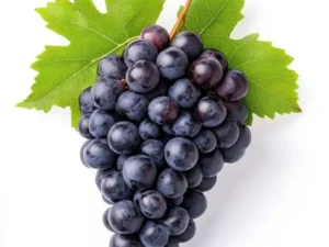 Black Graps/ಕಪ್ಪು ದ್ರಾಕ್ಷಿ