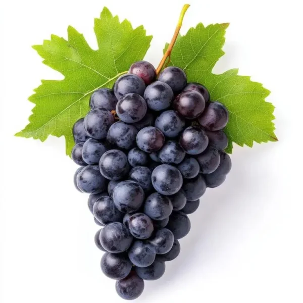 Black Graps/ಕಪ್ಪು ದ್ರಾಕ್ಷಿ