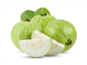 Guava/ ಸೀಬೆಹಣ್ಣು/ ಪೇರಳೆ