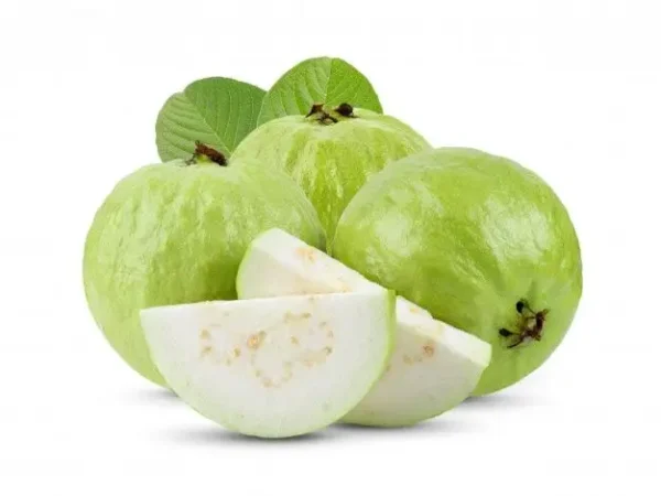 Guava/ ಸೀಬೆಹಣ್ಣು/ ಪೇರಳೆ
