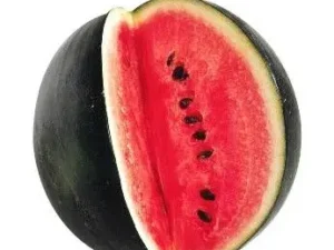 Watermellon / ಕಲ್ಲಂಗಡಿ