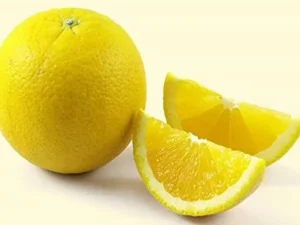 Musambi/ಮೂಸಂಬಿ