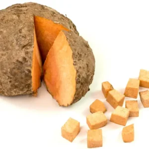 Cane- ಸುವರ್ಣ ಗಡ್ಡೆ