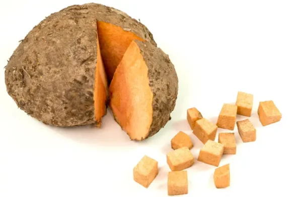 Cane- ಸುವರ್ಣ ಗಡ್ಡೆ