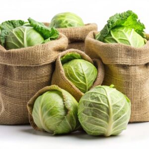 Cabage- ಕ್ಯಾಬೇಜ್