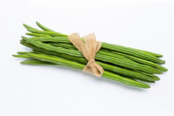Drumsticks- ನುಗ್ಗೆಕಾಯಿ