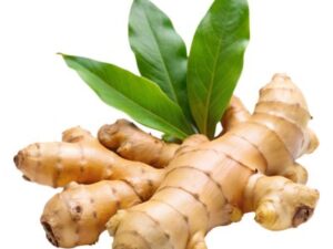 Ginger- ಶುಂಠಿ