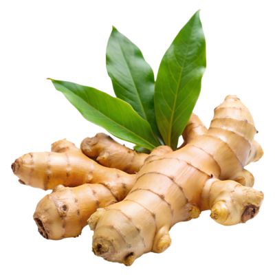 6271256e489f67ff45a9be1ec8ddc5a4 Ginger- ಶುಂಠಿ