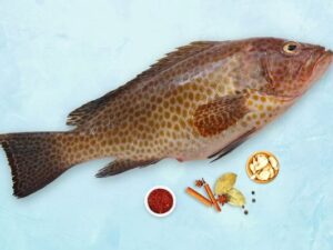 Reef cod fish Medium- muru/ ಮುರು ಮೀನು