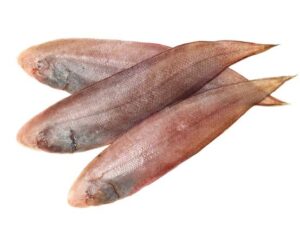 Sole Fish big - ದೊಡ್ಡ ನಂಗ್ ಮೀನುಗಳು Clone