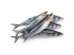 Sardine ಫಿಶ್ Medium- ಸಣ್ಣ ಬೂತಾಯಿ ಮೀನು.