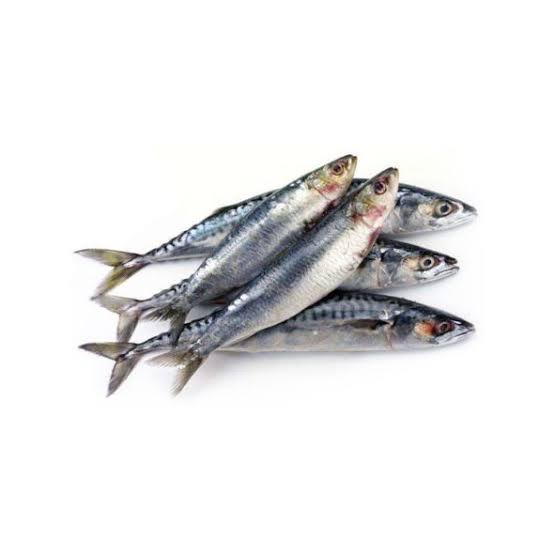 Sardine ಫಿಶ್ Medium- ಸಣ್ಣ ಬೂತಾಯಿ ಮೀನು.