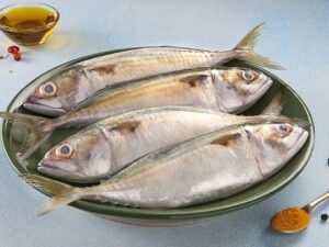 Indian Mackerel Fish small- ಸಣ್ಣ ಬಂಗುಡೆ ಮೀನುಗಳು