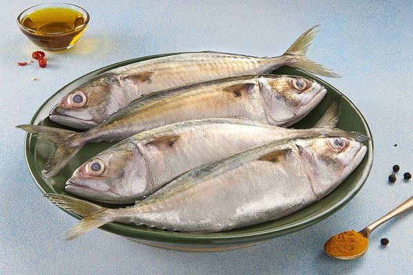 Indian Mackerel Fish small- ಸಣ್ಣ ಬಂಗುಡೆ ಮೀನುಗಳು
