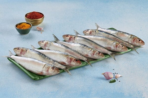 Sardine fish Small Medium - ಬೂತಾಯಿ ಮೀನು